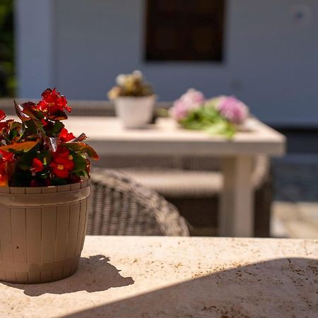 Paradeisos Rooms Pelion Áyios Dhimítrios Eksteriør billede