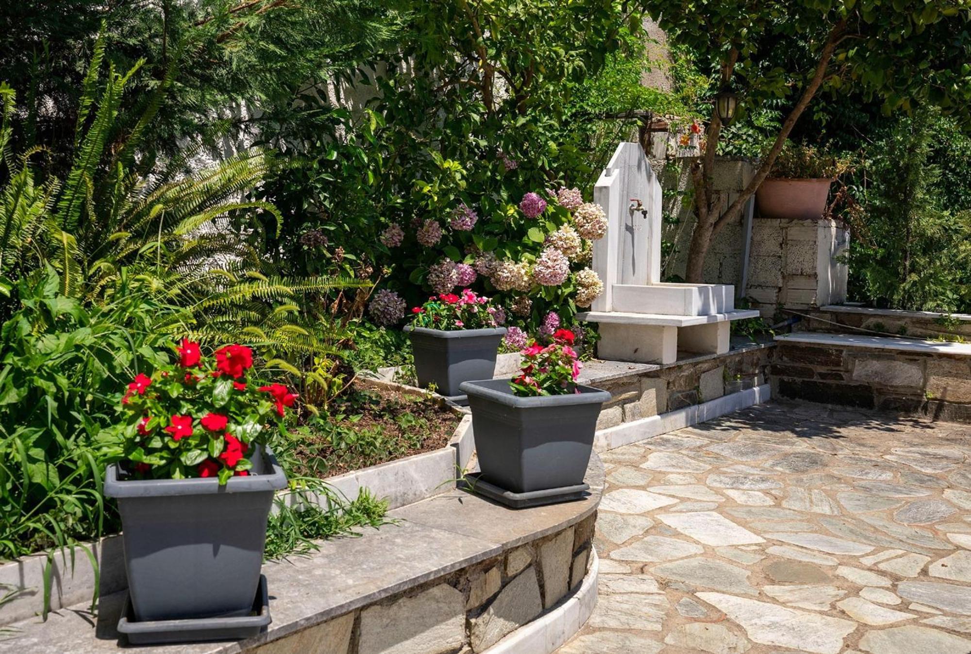 Paradeisos Rooms Pelion Áyios Dhimítrios Eksteriør billede